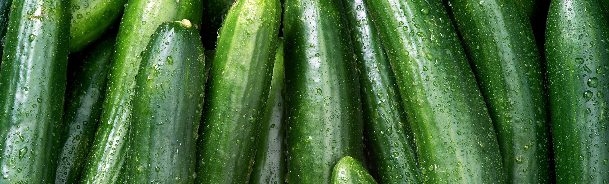 Pepino